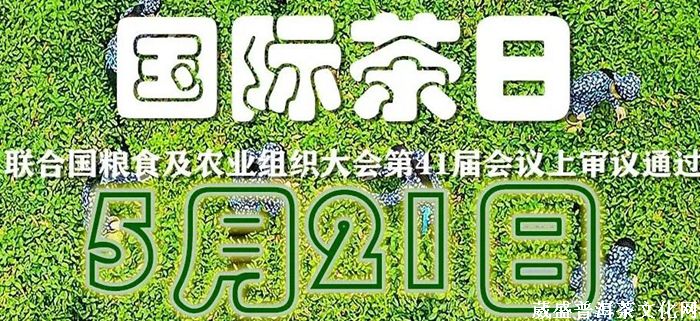 一山一味||同一款茶，兩次品茗？
